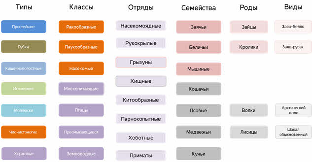 Разновидности классов