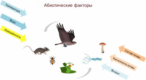 Что такое видовая структура сообщества. Смотреть фото Что такое видовая структура сообщества. Смотреть картинку Что такое видовая структура сообщества. Картинка про Что такое видовая структура сообщества. Фото Что такое видовая структура сообщества