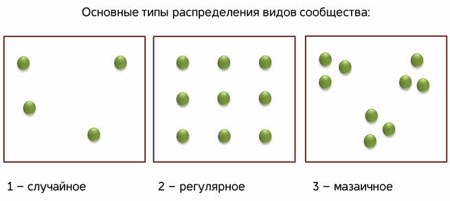 Что такое видовая структура сообщества. Смотреть фото Что такое видовая структура сообщества. Смотреть картинку Что такое видовая структура сообщества. Картинка про Что такое видовая структура сообщества. Фото Что такое видовая структура сообщества