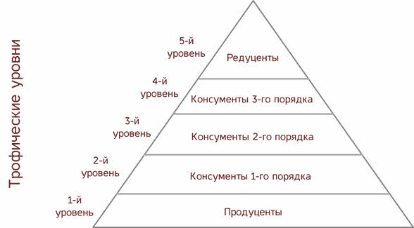 Что такое видовая структура сообщества. Смотреть фото Что такое видовая структура сообщества. Смотреть картинку Что такое видовая структура сообщества. Картинка про Что такое видовая структура сообщества. Фото Что такое видовая структура сообщества