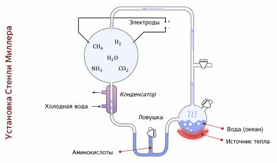 Эксперимент миллера юри. Аппарат Миллера и Юри. Эксперимент Опарина Миллера. Опыт Миллера и Юри. Установка Миллера и Юри.