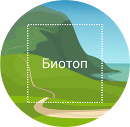 Чем отличается понятие экосистемы и биоценоза. Смотреть фото Чем отличается понятие экосистемы и биоценоза. Смотреть картинку Чем отличается понятие экосистемы и биоценоза. Картинка про Чем отличается понятие экосистемы и биоценоза. Фото Чем отличается понятие экосистемы и биоценоза