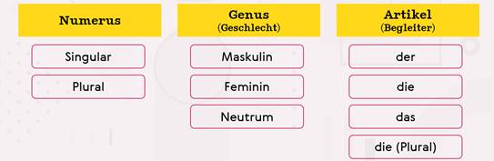 Deklination der Substantive