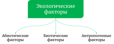 какие факторы оказывают влияние на живые организмы. Смотреть фото какие факторы оказывают влияние на живые организмы. Смотреть картинку какие факторы оказывают влияние на живые организмы. Картинка про какие факторы оказывают влияние на живые организмы. Фото какие факторы оказывают влияние на живые организмы
