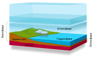 Биосфера 5