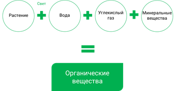 Что изучает биосфера 5 класс