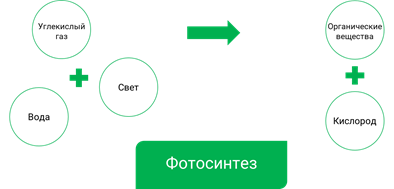 Что изучает биосфера 5 класс