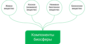 учение о биосфере разработал ученый