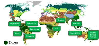 Карта лесных поясов