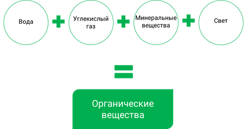 Как называются группы живых организмов окружающий. Смотреть фото Как называются группы живых организмов окружающий. Смотреть картинку Как называются группы живых организмов окружающий. Картинка про Как называются группы живых организмов окружающий. Фото Как называются группы живых организмов окружающий