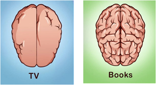 Quiz “The nervous system”