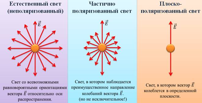 Поляризация света рисунок