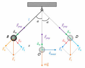При свободных колебаниях шар на нити