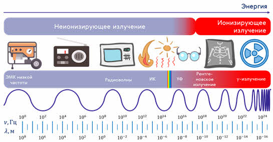 На рисунке изображена шкала электромагнитных волн пользуясь шкалой выберите из предложенного перечня