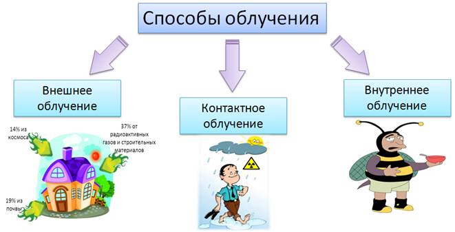 Влияние ионизирующей радиации на живые организмы презентация 11 класс