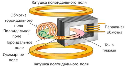 Тороидальная камера с магнитными катушками рисунок