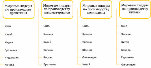 Страны лидеры по древесине