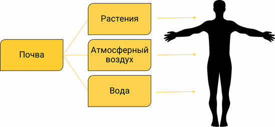 Человек человека конспект урока