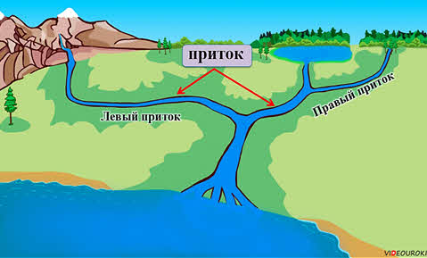 Рисунок устья реки