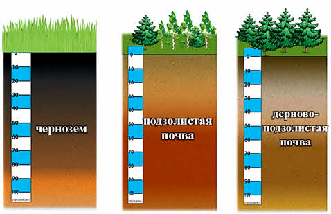 Дерново подзолистые почвы схема
