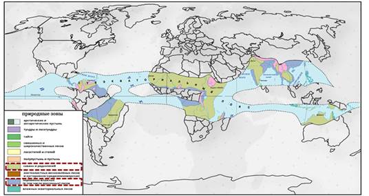План описания природной зоны переменно влажные леса