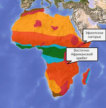 Природные зоны африки картинки