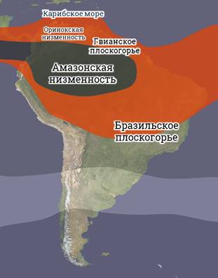 Описать амазонскую низменность по плану 5 класс