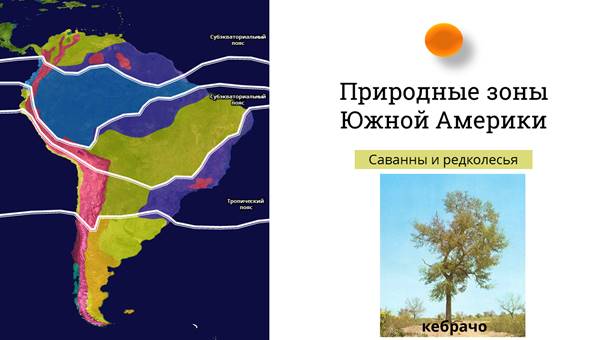 План описания природной зоны переменно влажные леса