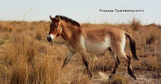 географическое положение евразии по отношению к экватору. географическое положение евразии по отношению к экватору фото. картинка географическое положение евразии по отношению к экватору. смотреть фото географическое положение евразии по отношению к экватору. смотреть картинку географическое положение евразии по отношению к экватору.