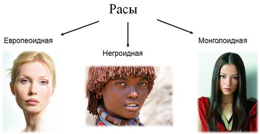 Что такое население география 7 класс. Смотреть фото Что такое население география 7 класс. Смотреть картинку Что такое население география 7 класс. Картинка про Что такое население география 7 класс. Фото Что такое население география 7 класс