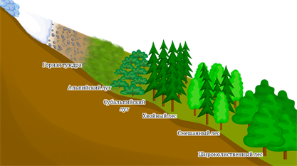 Используя схемы высотной поясности установите набор высотных поясов в горах урала и южной сибири