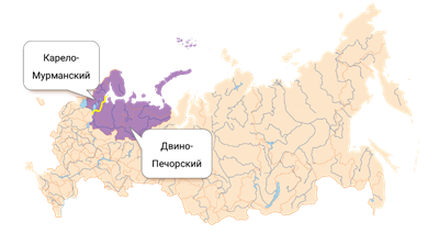 Двино Печорский район на карте. Двино Печорская территория на карте. Кольско-Карельский район и Двино-Печорский на карте. Карело Мурманский и Двино Печорский подрайон. Географическое положение двино печорского