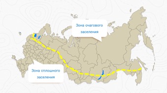 Как вы поняли что такое естественный прирост география 7 класс кратко ответ. Смотреть фото Как вы поняли что такое естественный прирост география 7 класс кратко ответ. Смотреть картинку Как вы поняли что такое естественный прирост география 7 класс кратко ответ. Картинка про Как вы поняли что такое естественный прирост география 7 класс кратко ответ. Фото Как вы поняли что такое естественный прирост география 7 класс кратко ответ