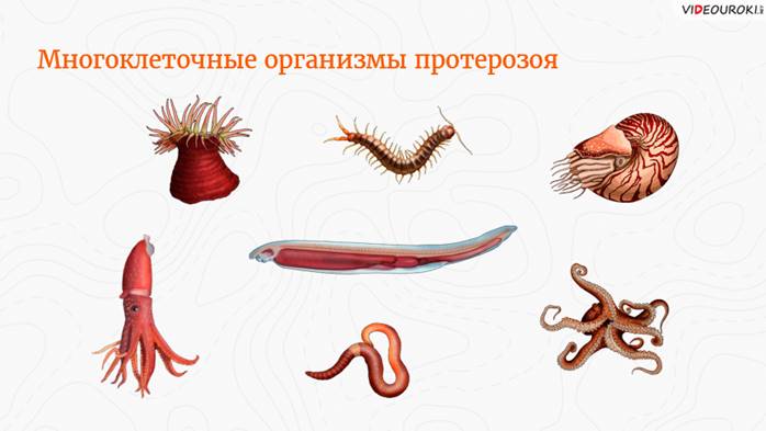 Что такое геологический период кратко 5 класс. Смотреть фото Что такое геологический период кратко 5 класс. Смотреть картинку Что такое геологический период кратко 5 класс. Картинка про Что такое геологический период кратко 5 класс. Фото Что такое геологический период кратко 5 класс