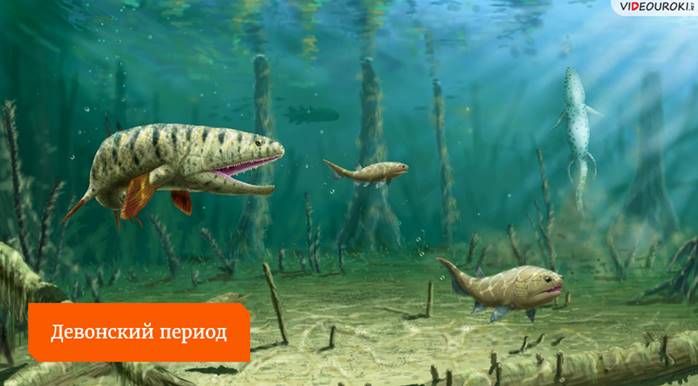 Что такое геологический период кратко 5 класс. Смотреть фото Что такое геологический период кратко 5 класс. Смотреть картинку Что такое геологический период кратко 5 класс. Картинка про Что такое геологический период кратко 5 класс. Фото Что такое геологический период кратко 5 класс