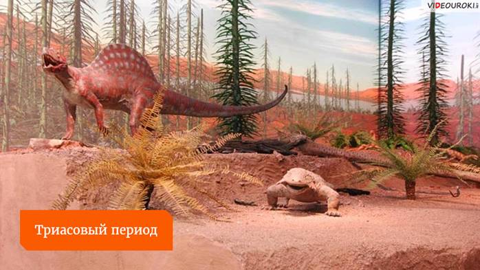 Что такое геологический период кратко 5 класс. Смотреть фото Что такое геологический период кратко 5 класс. Смотреть картинку Что такое геологический период кратко 5 класс. Картинка про Что такое геологический период кратко 5 класс. Фото Что такое геологический период кратко 5 класс