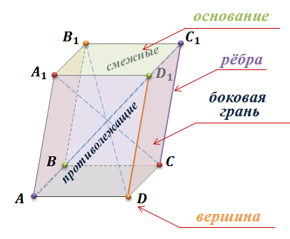 Грани ребра и вершины параллелепипеда. Параллелепипед грани вершины ребра основание. Паралепипед Гарни основание ребра вершины.. Вершины, грани, ребра, основания, диагональ параллелепипеда. Прямоугольный параллелепипед грани основания боковые грани ребра.