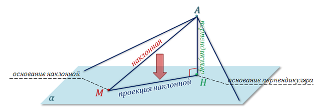 От любой точки на плоскости можно построить отрезок равный данному образцу верно или неверно