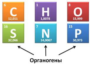 Органогены