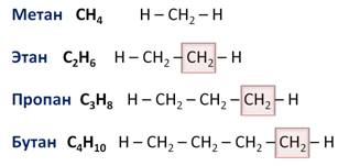 Гомологи н бутана. Гомологи и гомология. Гомологическая разность примеры. Гомологи это в химии. Гомология это в химии.