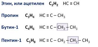 Что относится к гомологам