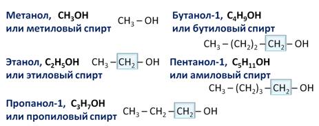 Что относится к гомологам