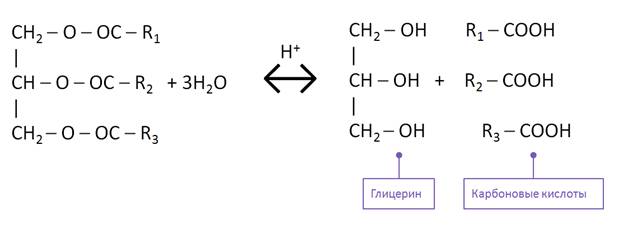 Глицерин как представитель многоатомных спиртов презентация