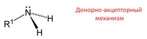 какая изомерия характерна для аминов. Смотреть фото какая изомерия характерна для аминов. Смотреть картинку какая изомерия характерна для аминов. Картинка про какая изомерия характерна для аминов. Фото какая изомерия характерна для аминов