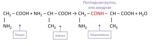 Схема получения аминокислоты из метана