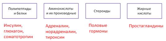 Что такое гормоны 6 класс биология кратко определение. Смотреть фото Что такое гормоны 6 класс биология кратко определение. Смотреть картинку Что такое гормоны 6 класс биология кратко определение. Картинка про Что такое гормоны 6 класс биология кратко определение. Фото Что такое гормоны 6 класс биология кратко определение