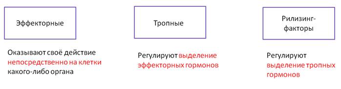 Что такое гормоны 6 класс биология кратко определение. Смотреть фото Что такое гормоны 6 класс биология кратко определение. Смотреть картинку Что такое гормоны 6 класс биология кратко определение. Картинка про Что такое гормоны 6 класс биология кратко определение. Фото Что такое гормоны 6 класс биология кратко определение