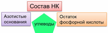 Что такое нерегулярный полимер. Смотреть фото Что такое нерегулярный полимер. Смотреть картинку Что такое нерегулярный полимер. Картинка про Что такое нерегулярный полимер. Фото Что такое нерегулярный полимер
