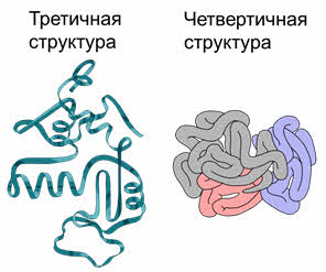 Что такое нерегулярный полимер. Смотреть фото Что такое нерегулярный полимер. Смотреть картинку Что такое нерегулярный полимер. Картинка про Что такое нерегулярный полимер. Фото Что такое нерегулярный полимер