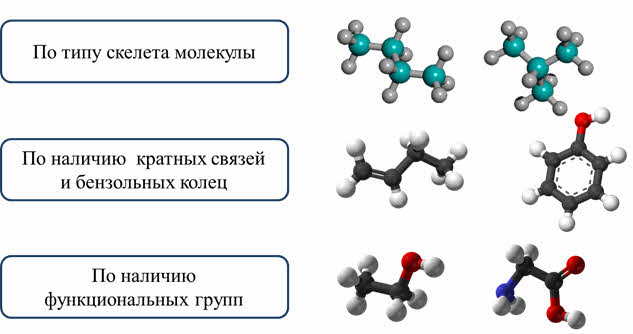 План вещество. Скелет молекулы органического вещества. Скелет молекулы органического вещества состоит. Скелет молекулы органического вещества состоит из. Разница в углеродном скелете молекулы.